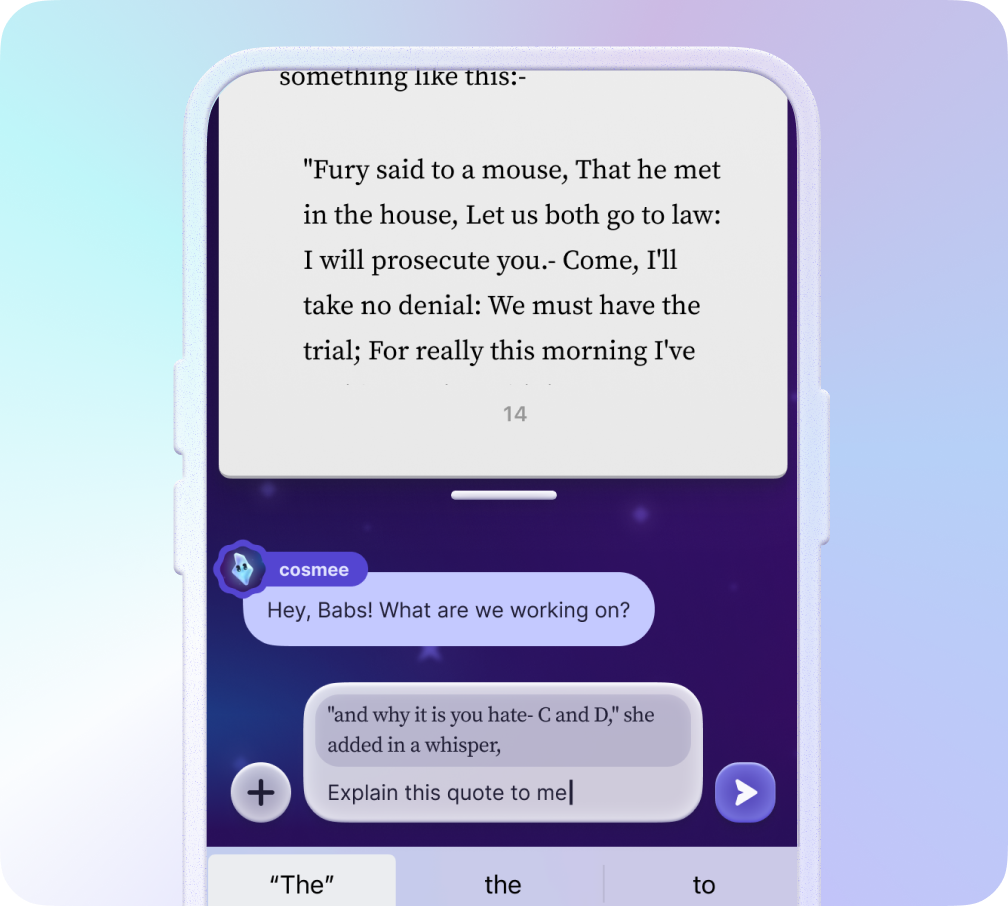 Cosmee Chat Interface